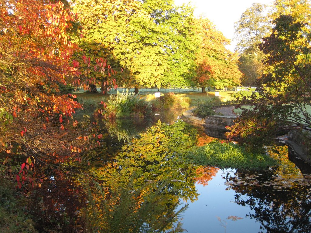 Autumn Reflectioni N Pond